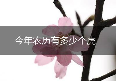 今年农历有多少个虎