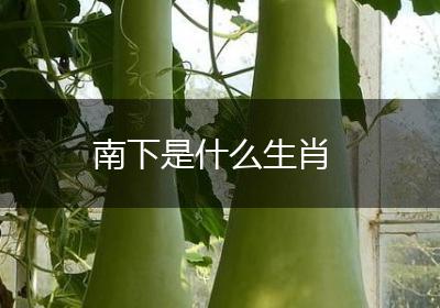 南下是什么生肖