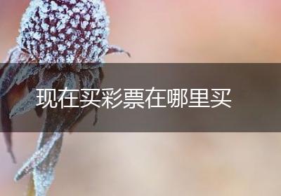 现在买彩票在哪里买
