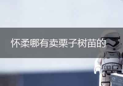 怀柔哪有卖栗子树苗的