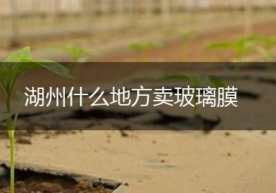 湖州什么地方卖玻璃膜