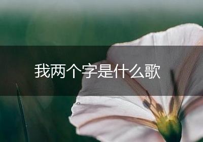 我两个字是什么歌