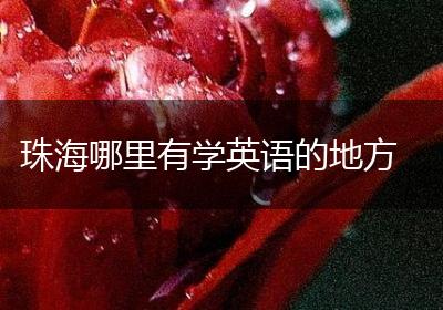 珠海哪里有学英语的地方
