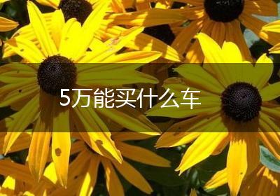 5万能买什么车