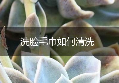 洗脸毛巾如何清洗