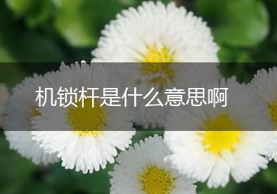 机锁杆是什么意思啊