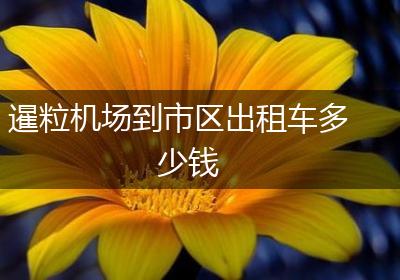 暹粒机场到市区出租车多少钱