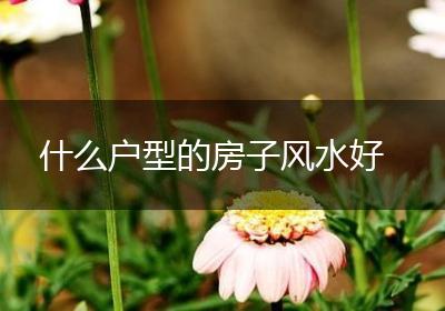 什么户型的房子风水好
