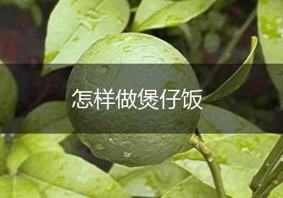 怎样做煲仔饭
