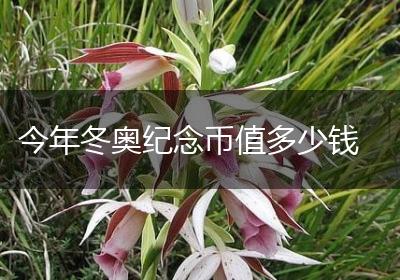 今年冬奥纪念币值多少钱