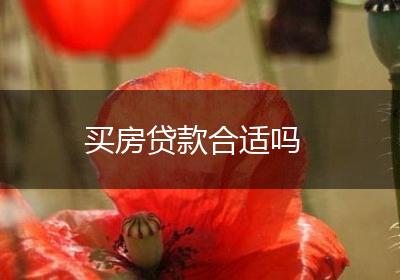 买房贷款合适吗
