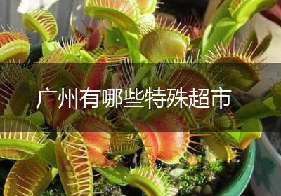 广州有哪些特殊超市