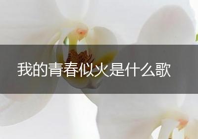 我的青春似火是什么歌