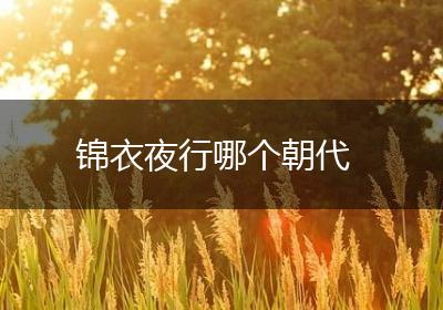 锦衣夜行哪个朝代