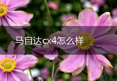 马自达cx4怎么样