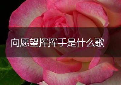 向愿望挥挥手是什么歌