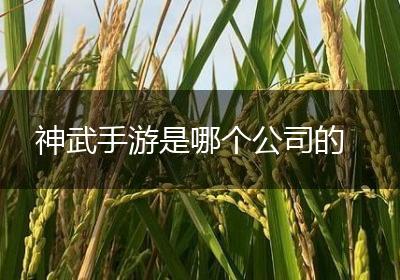神武手游是哪个公司的