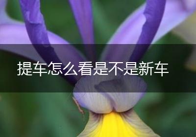 提车怎么看是不是新车