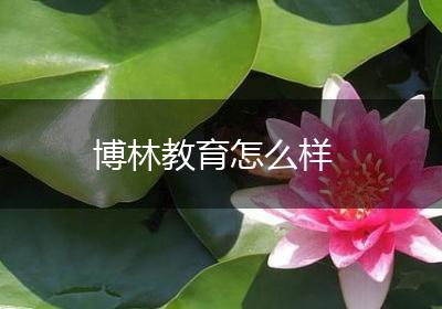 博林教育怎么样