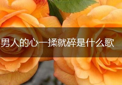 男人的心一揉就碎是什么歌