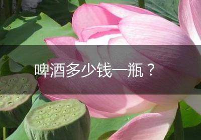 啤酒多少钱一瓶？