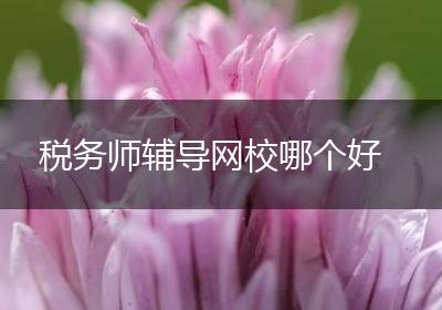 税务师辅导网校哪个好