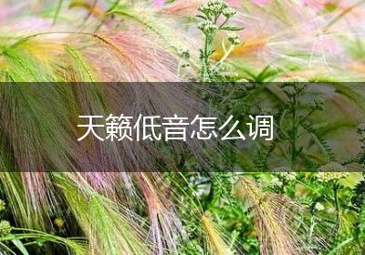 天籁低音怎么调