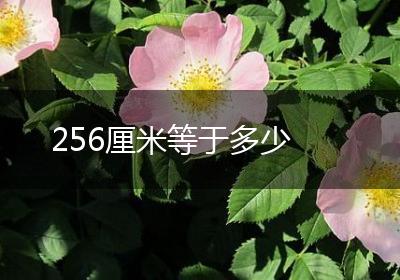 256厘米等于多少