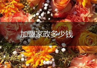 加盟家政多少钱
