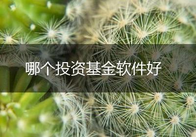 哪个投资基金软件好