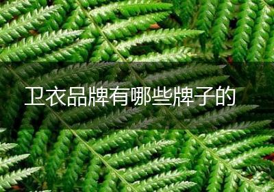 卫衣品牌有哪些牌子的