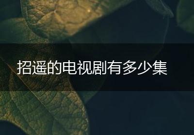 招遥的电视剧有多少集