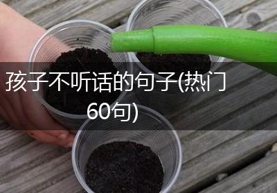 孩子不听话的句子(热门60句)