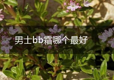 男士bb霜哪个最好