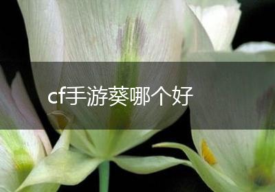 cf手游葵哪个好