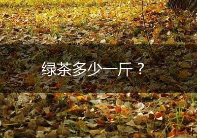 绿茶多少一斤？