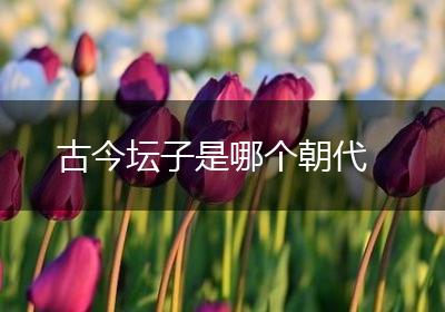 古今坛子是哪个朝代