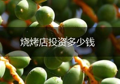 烧烤店投资多少钱