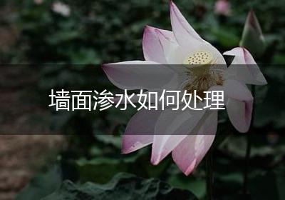 墙面渗水如何处理