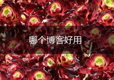 哪个博客好用
