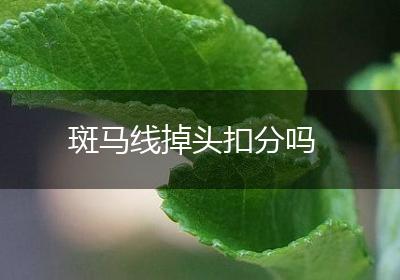 斑马线掉头扣分吗
