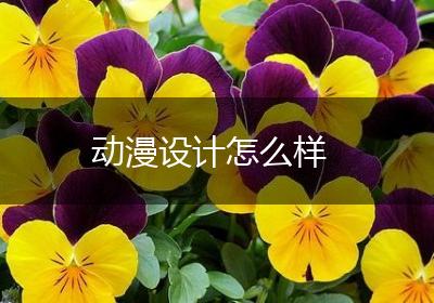 动漫设计怎么样