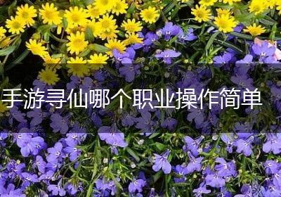 手游寻仙哪个职业操作简单