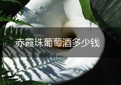 赤霞珠葡萄酒多少钱