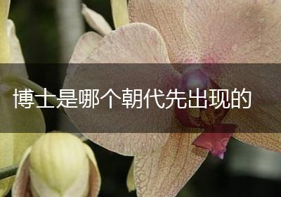 博士是哪个朝代先出现的