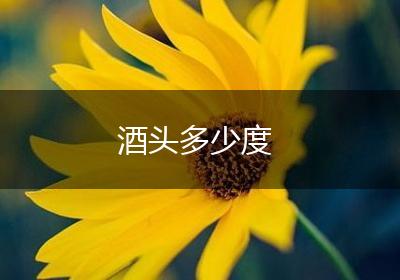 酒头多少度