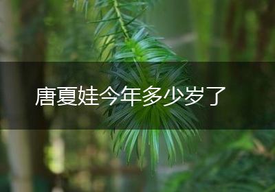 唐夏娃今年多少岁了