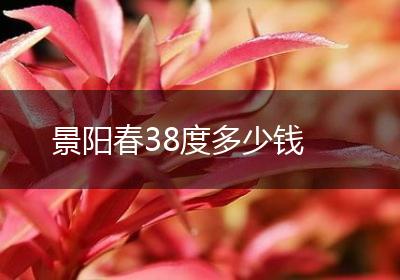 景阳春38度多少钱