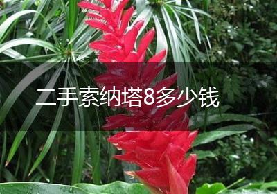 二手索纳塔8多少钱