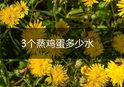 3个蒸鸡蛋多少水